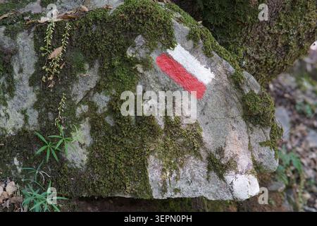 Marque rouge et blanche de sentier flamboyant sur le rocher moussue indiquant le chemin de randonnée à Cascata Mundu dans le parc national d'Aspromonte près de Molochio en Calabre. Banque D'Images
