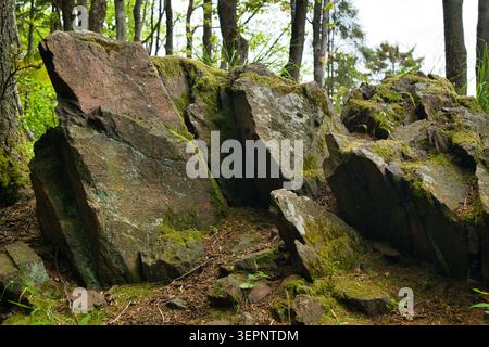 Rochers et rochers couverts de mousse dans le sous-étage de la forêt luxuriante avec arbres ensoleillés et plantes sauvages - montagnes Wałbrzych, massif de Borowa. Banque D'Images