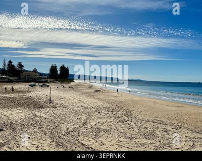 Un ciel de maquereau saisissant s'étend sur une plage australienne bordée de pins de Norfolk Island. Banque D'Images