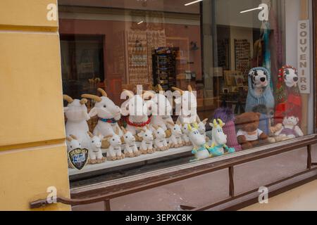 Vitrine d'une boutique de souvenirs à Poznan, Pologne avec des jouets du symbole principal de la ville - chèvre blanche. Culture et villes polonaises, Grande Pologne, polonais Banque D'Images