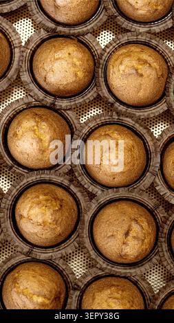 Vue de dessus plusieurs muffins brun doré individuels, chaque doublure en papier froissé brun foncé nichée. Produits de boulangerie disposés en rangées nettes Bakin en métal brillant Banque D'Images