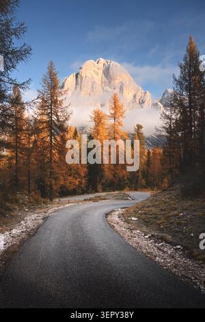 Une route de montagne sinueuse mène à travers des mélèzes dorés vers les sommets escarpés des Dolomites. Paysage d'automne dans les Alpes italiennes avec de la neige fraîche et la lumière du matin Banque D'Images