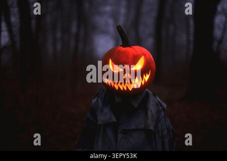Luisant Jack o tête de lanterne illuminant l'obscurité d'un bois mystérieux. Portrait sur le thème d'Halloween avec une effrayante citrouille sculptée et une atmosphère de forêt sinistre Banque D'Images