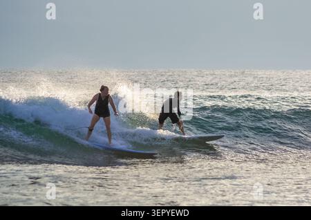 Mirissa, Sri Lanka - 20 février 2023 : un homme et une femme chevauchent la même vague de rupture sur des longboards à Mirissa Beach pendant la session de surf de l'après-midi Banque D'Images