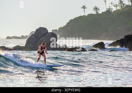 Mirissa, Sri Lanka - 20 février 2023 : une femme chevauche une vague sur un longboard bleu près d'un éperon côtier rocheux avec un promontoire couvert de palmiers visible dedans Banque D'Images