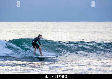 Mirissa, Sri Lanka - 20 février 2023 : un surfeur en combinaison noire chevauche une vague turquoise sur une planche de surf blanche à Mirissa Beach sur un ensoleillé calme Banque D'Images