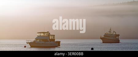 Panorama de bateaux dans la brume tôt le matin amarré à Smith Bay près du Spencer Spit State Park sur l'île de Lopez à Washington, États-Unis Banque D'Images