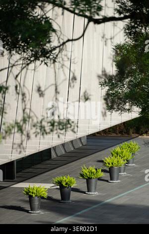 30.05.2026, Suisse, Canton Zuerich, Zuerich - stade de la FIFA : pots avec des plantes sur un côté du bâtiment isolé du siège social sur le Z¸richberg. Banque D'Images