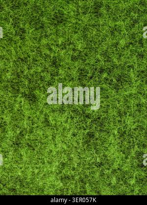 Vue rapprochée de haut en bas d'une herbe verte dense avec des longueurs de lame variées et des ombres naturelles, montrant une surface de gazon texturée. La scène met en valeur fraîche Banque D'Images