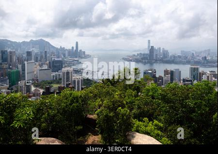 Vue panoramique en haut angle sur les gratte-ciel du port Victoria depuis Braemar Hill avec feuillage vert au premier plan à Hong Kong Banque D'Images