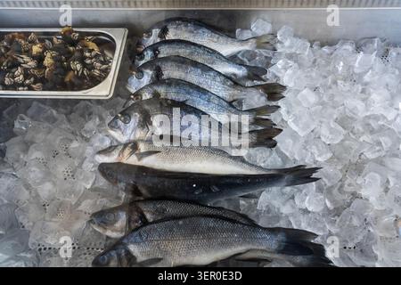 Un assortiment de poissons frais et de bernacles d'oie est disposé sur de la glace pilée dans un comptoir de marché de fruits de mer. Banque D'Images
