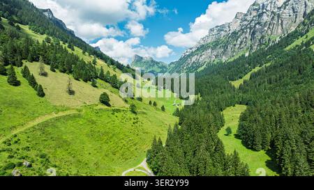 Vue aérienne de la vallée alpine verdoyante en Suisse avec des forêts de pins et des montagnes rocheuses Banque D'Images