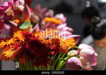 Marguerites gerbera orange et rouge vibrantes (Gerbera jamesonii) exposées avec des bourgeons de lotus roses (Nelumbo nucifera) à vendre sur un étal de marché du matin à Dam Banque D'Images