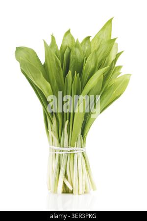 Légumes botte Ramson isolé sur fond blanc Banque D'Images