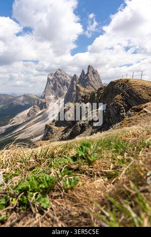 Vue panoramique sur la crête de la montagne Seceda avec des pics rocheux spectaculaires et des pentes verdoyantes dans les Dolomites italiennes, paysage alpin pittoresque d'été d'Odle Banque D'Images