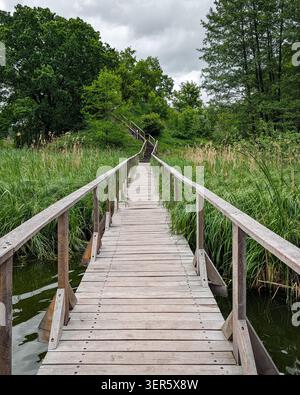 Promenade en bois sur la rivière menant à la colline verte. Vue symétrique d'une passerelle rustique en bois et d'escaliers qui traînent sur une rivière calme et de hautes herbes Banque D'Images