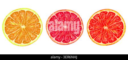 Juteux moitié d'un pamplemousse rouge ou orange. Illustration botanique à l'aquarelle. Clip isolé dessiné à la main Agrumes sains pour l'emballage de jus Banque D'Images