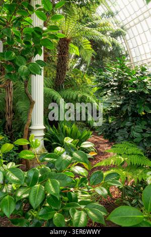 VIENNE, AUTRICHE - 12 JUILLET 2024 : plantes tropicales luxuriantes, fougères arborées et colonne historique en fonte blanche le long d'un chemin de paillis sous le dôme de verre à l'intérieur Banque D'Images