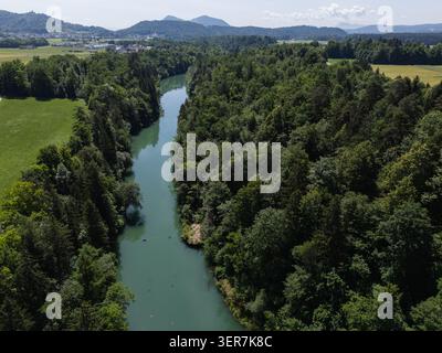 Une rivière sinueuse coule à travers une forêt luxuriante et des champs verdoyants. La scène met en valeur l'eau propre et l'habitat naturel de la faune. Banque D'Images