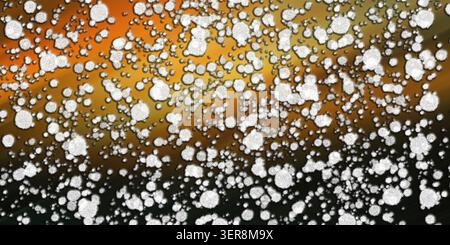 Un fond artistique abstrait avec une dispersion dense de particules blanches, texturées et circulaires superposées sur un dégradé dramatique orange à noir. Banque D'Images
