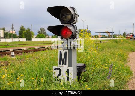 Feu de circulation ferroviaire avec feu rouge incandescent et panneau d'index. Le pôle de signal de shunting est entouré d'herbe verte envahie et de fleurs jaunes sauvages à Banque D'Images