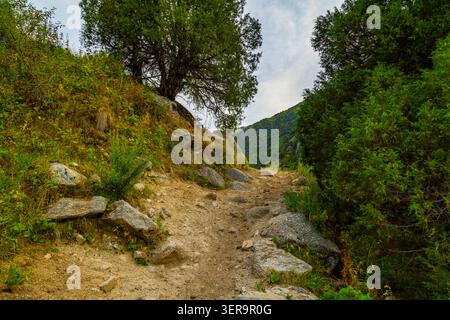 Vue panoramique d'un chemin de terre sinueux et rocheux qui monte à travers une région montagneuse luxuriante du Kirghizistan. Banque D'Images