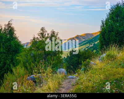 Vue panoramique des montagnes vallonnées illuminées par la lumière de l'heure d'or au Kirghizistan. Un chemin de terre sinueux mène à travers un pré rempli d'herbes hautes et Banque D'Images