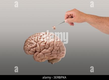 Cerveau humain comme jeu de puzzle Banque D'Images