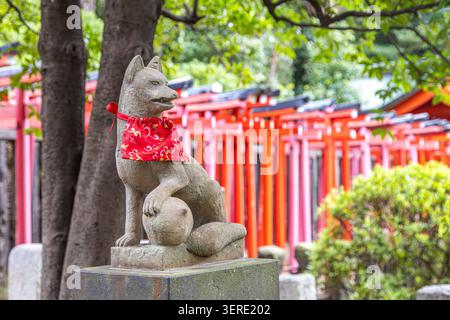 Gardien kitsune en pierre avec un bavoir rouge et un tunnel torii vermillon derrière lui au sanctuaire Otome Inari à Tokyo, Japon. Banque D'Images