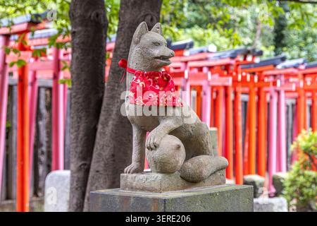 Gardienne renard Inari en pierre portant un bavoir rouge devant le chemin bordé de torii au sanctuaire Otome Inari, sanctuaire Nezu, Tokyo. Banque D'Images