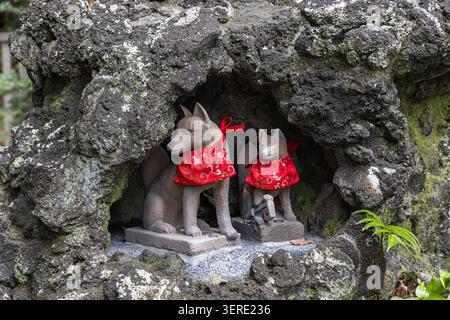Paire de gardiens renards Inari en pierre portant des bavoirs rouges dans une grotte rocheuse au sanctuaire Otome Inari, sanctuaire Nezu, Tokyo. Banque D'Images