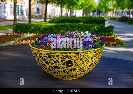 Panier de fleurs tissé décoratif jaune vif rempli de pansies vibrantes sur la terrasse en bois Banque D'Images