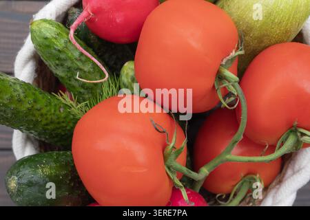 Légumes frais dans un panier en osier avec tomates, concombres, radis, courgettes et aneth sur fond de bois. Banque D'Images