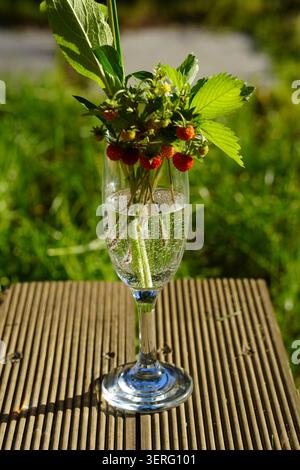 Fraises des Alpes dans un vase en verre sur une table en bois dans un jardin ensoleillé Banque D'Images