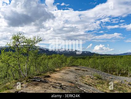 Paysage estival de toundra arctique avec colline rocheuse et forêt de bouleaux verts en Laponie près de la frontière norvégienne Banque D'Images