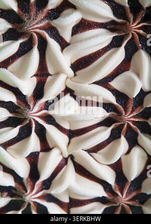 Un gros plan de la texture de la crème glacée tiramisu. Photo de haute qualité Banque D'Images