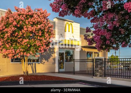 Restaurant McDonald's au coucher du soleil avec des myrtes en crêpe colorés et fleuris à Lake Park, Géorgie. (ÉTATS-UNIS) Banque D'Images
