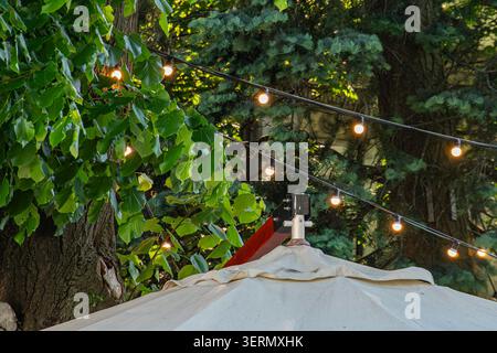 Chaîne de lumières chaudes et incandescentes suspendues à un support en bois avec fond de feuillage vert, avec texture de tronc d'arbre rustique et strate de tissu blanc Banque D'Images