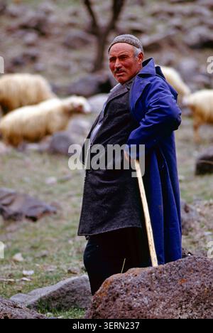 Shepherd Mixo Beridze s'occupe de son troupeau de moutons sur un pâturage de montagne accidenté dans les montagnes du Caucase à couper le souffle de la République de Géorgie. Banque D'Images