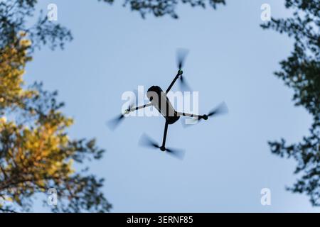 Vue à faible angle du drone quadcopter moderne volant dans le ciel bleu à travers la cime des arbres de la forêt, véhicule aérien sans pilote planant entre les pins verts. Banque D'Images