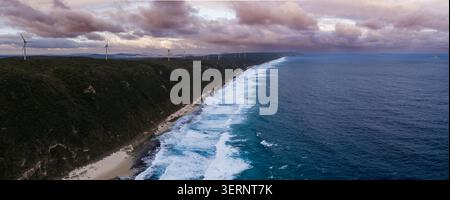 Vue aérienne des turbines du parc éolien d'Albany debout sur une crête côtière verdoyante surplombant les vagues écrasantes de l'océan Austral à Albany, Ouest Banque D'Images