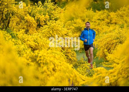 Homme courant sur un sentier entouré de fleurs sauvages jaunes Banque D'Images