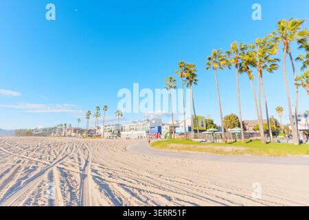 Venice Beach, Californie - 8 janvier 2026 : vue grand angle sur la plage de sable et la promenade pavée de Venice Beach, Californie, avec de grands palmiers tr Banque D'Images