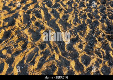 Gros plan sur la texture rugueuse d'une plage de sable au coucher du soleil. La faible lumière dorée du soleil crée des ombres profondes et accentue les ondulations, fo Banque D'Images