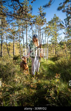 Femme positive randonneur avec panier et bâton sur la promenade dans les bois sauvages avec chien Vizsla ludique Banque D'Images