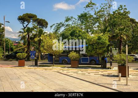 Un paysage urbain pittoresque avec un bus de transport public conduisant sur une rue urbaine verdoyante ombragée par des plantes tropicales luxuriantes. Géorgie, Batumi. Banque D'Images
