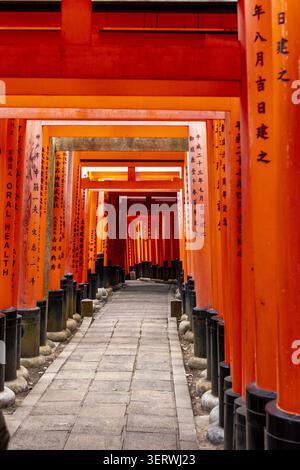 Vue de l'emblématique Senbon Torii avec ses portes orange vives bordant un chemin de pierre au sanctuaire Fushimi Inari-taisha Kyoto, Kyoto, Japon. Banque D'Images