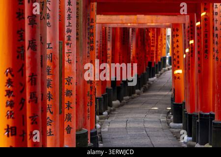 Vue sur les portes emblématiques Senbon Torii avec des piliers vermillon vibrants et des bases noires bordant un chemin de pierre à Fushimi Inari-taisha Kyoto, Kyoto, Japon. Banque D'Images