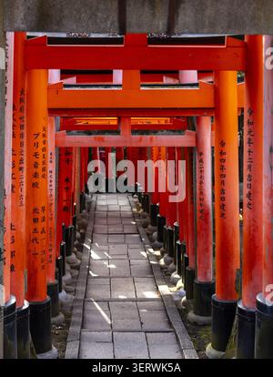 Vue sur les portes emblématiques Senbon Torii avec des piliers oranges vibrants et des bases noires bordant une passerelle en pierre au sanctuaire Fushimi Inari-taisha Kyoto, Kyoto, Banque D'Images