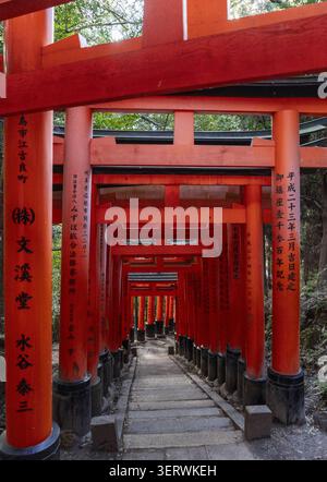 Vue sur les portes Senbon Torii avec des piliers vermillon vibrants avec des bases noires et des inscriptions bordant un chemin de pierre sous une canopée d'arbres verts Banque D'Images